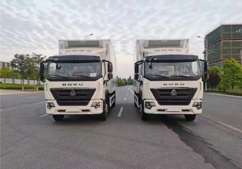 重汽豪沃6米8雞苗運(yùn)輸車(chē)