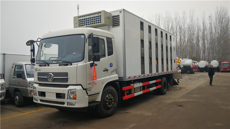 東風(fēng)天錦豬苗運(yùn)輸車