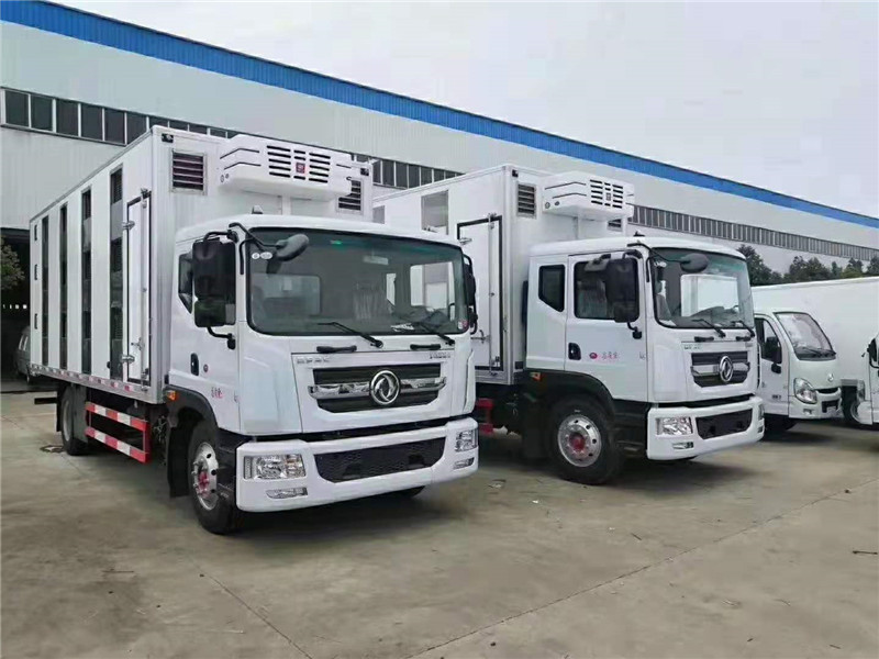 多利卡國(guó)六仔豬運(yùn)輸車